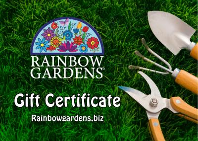 $100 Gift Certificate - $100.00